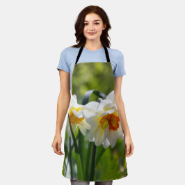 Grandes daffodias blancas en una delantal de prima