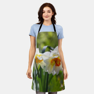 Grandes daffodias blancas en una delantal de prima
