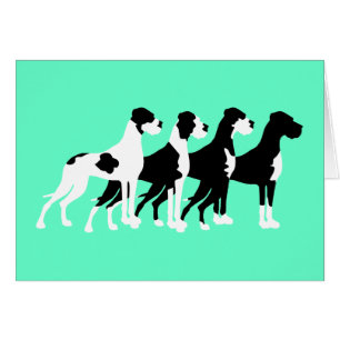 Grandes daneses negros