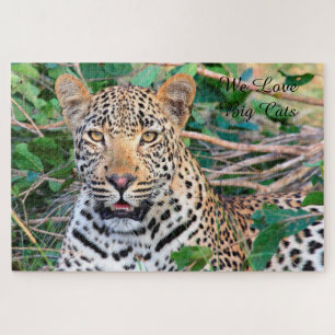 Grandes Felinos Leopardo. Rompecabezas