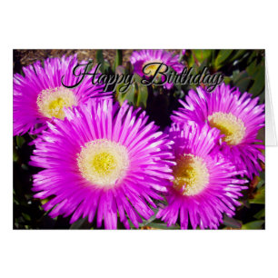 Grandes Margaritas Moradas Deslumbrantes, Tarjeta