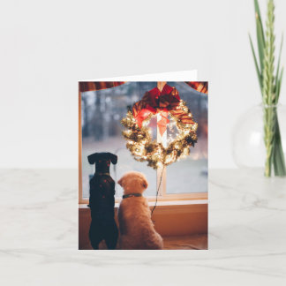 Grandes Navidades intercambian tarjetas - Mascotas