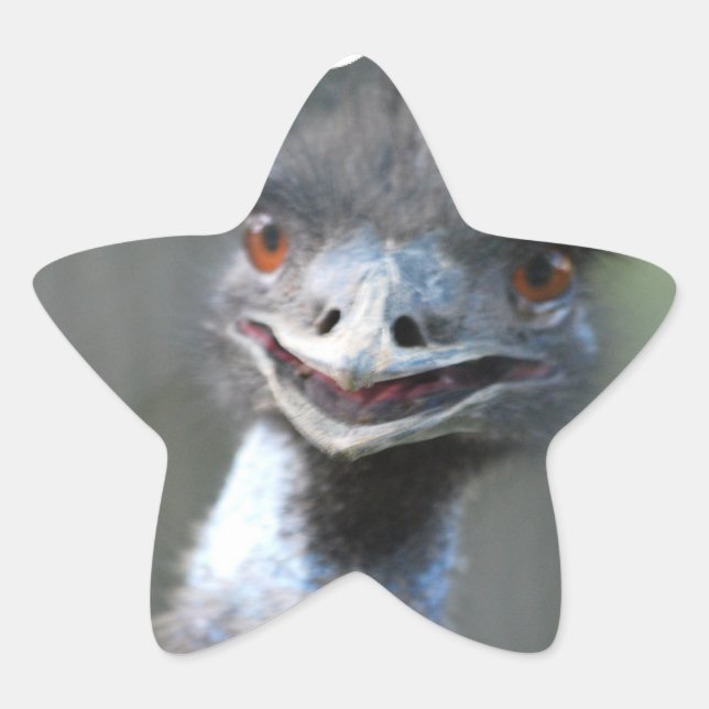 Grandes Pegatinas De La Uem (Anverso)