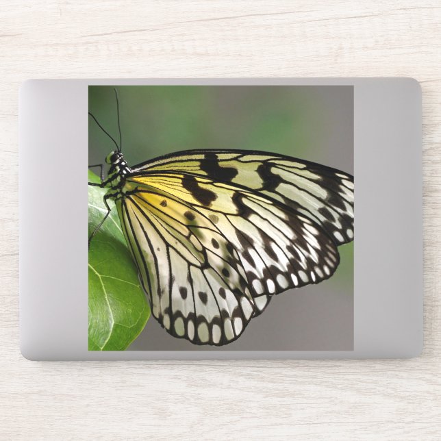 Grandes Pegatinas de vinilo de corte Personalizado (Ordenador)