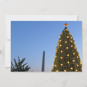 Grandes y pequeños árboles de Navidad en DC