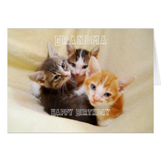 Grandma, Warm and Fuzzy Kitten Trio Happy Birthday