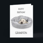 ¡GRANDSON EL CUMPLEAÑOS! TARJETA<br><div class="desc">¡¡¡GRACIAS POR DETENERME EN UNA DE MIS OCHO TIENDAS!!!</div>
