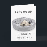 ¡GRANDSON EL CUMPLEAÑOS! TARJETA<br><div class="desc">¡¡¡GRACIAS POR DETENERME EN UNA DE MIS OCHO TIENDAS!!!</div>