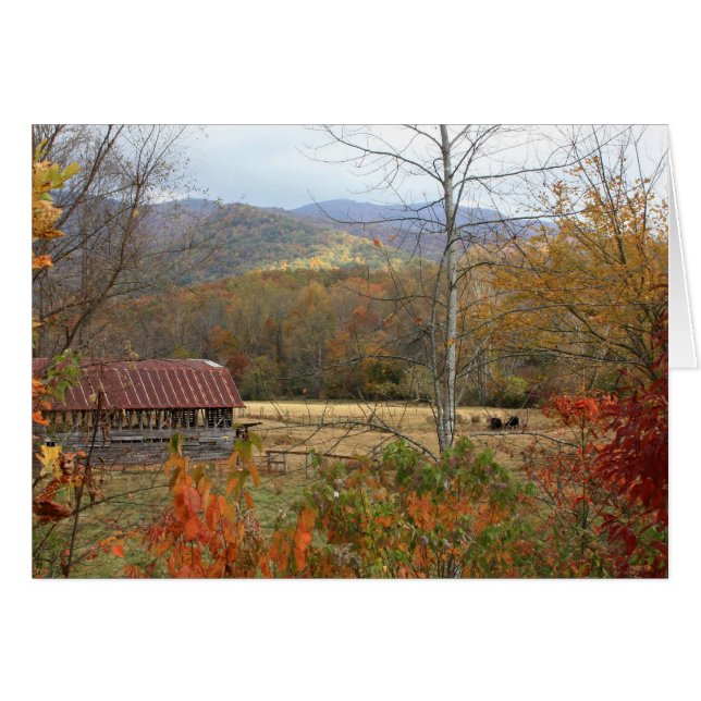 Granero con vacas (Anverso (Horizontal))