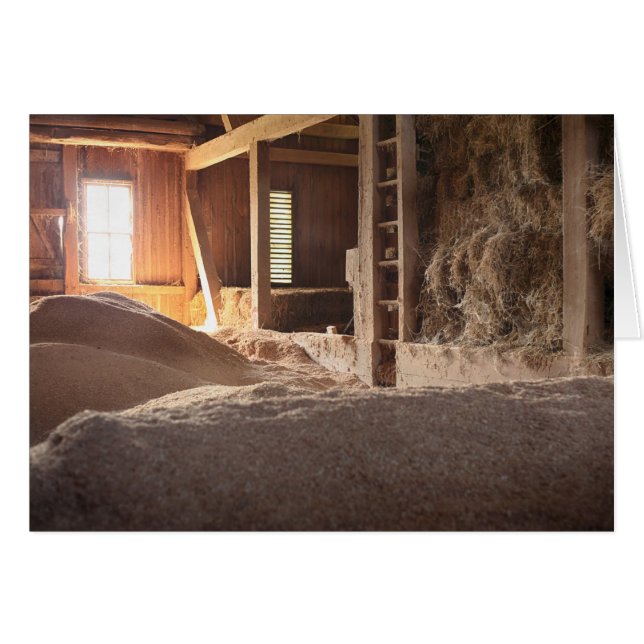 Granero del heno llenado de Sun (Anverso (Horizontal))