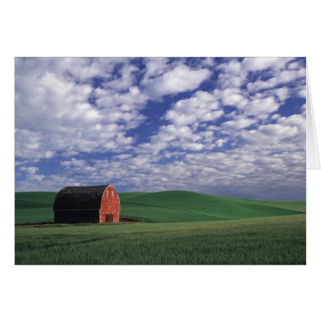 Granero rojo en el campo de trigo y cebada en Whit (Anverso (Horizontal))