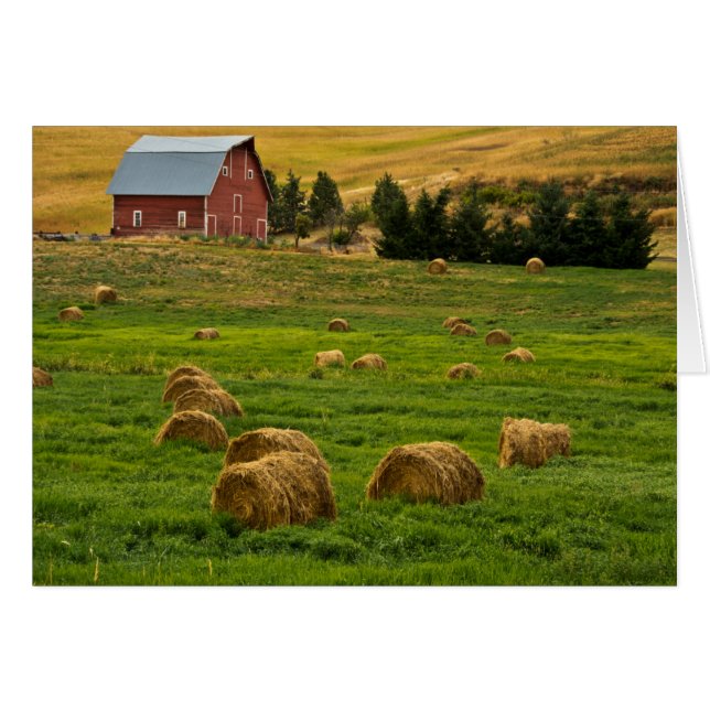 Granero rojo, pacas de heno, Albion, Área Palouse  (Anverso (Horizontal))