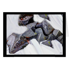 Granito en una tarjeta de Snowfield