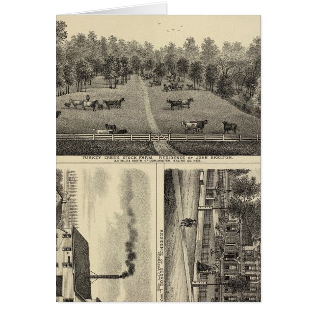 Granja de Creek de Turquía, Nebraska (Frente)