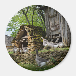 Granja de ganso de foie gras tradicional imán redo