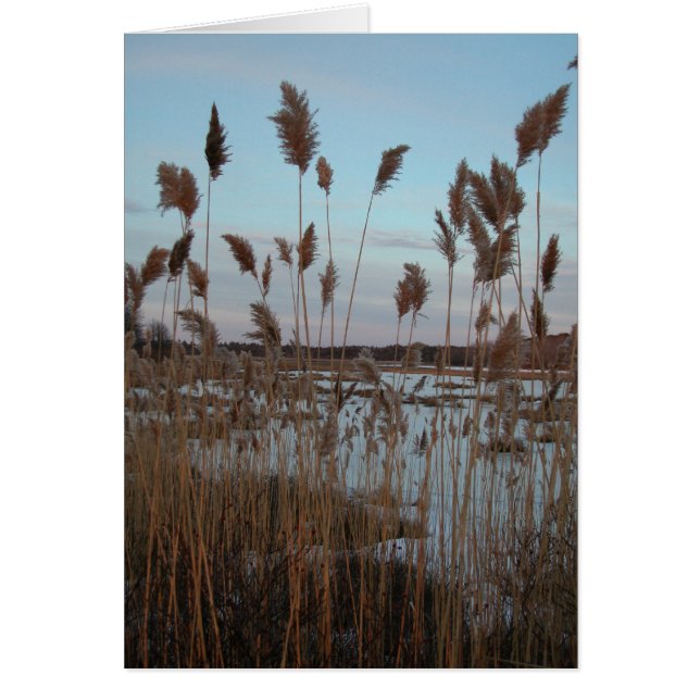 Granja de Laudholm (Frente)