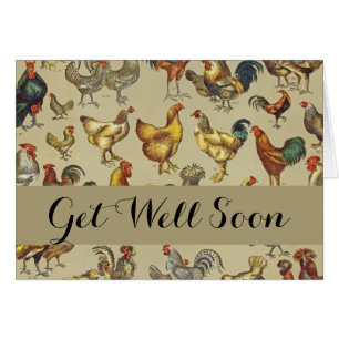 Granja de pollo de gallo