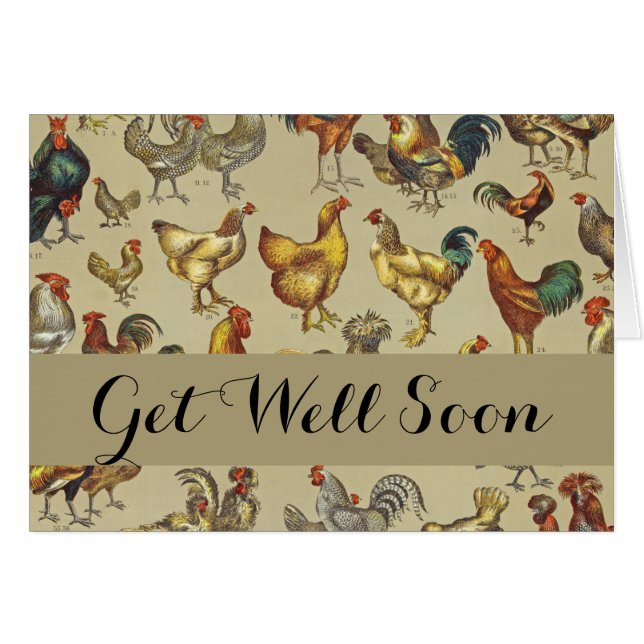 Granja de pollo de gallo (Anverso (Horizontal))