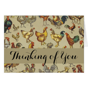 Granja de pollo de gallo