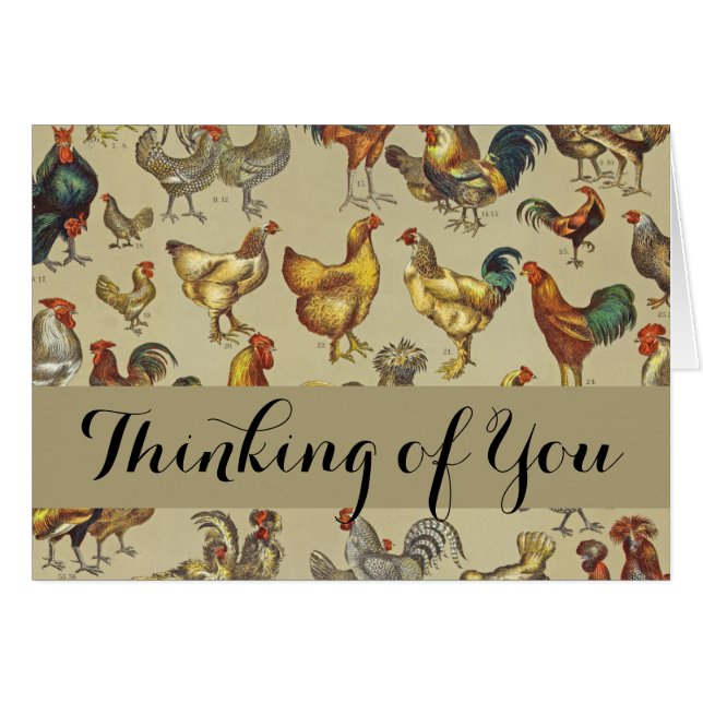 Granja de pollo de gallo (Anverso (Horizontal))