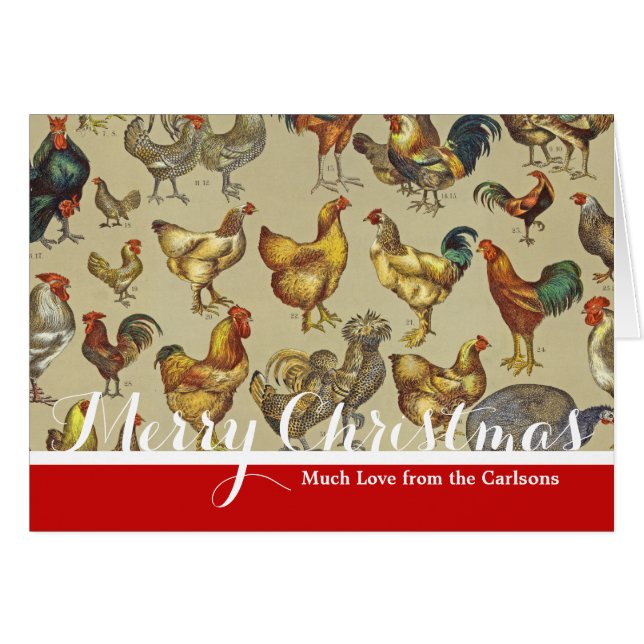 Granja de pollo de gallo (Anverso (Horizontal))