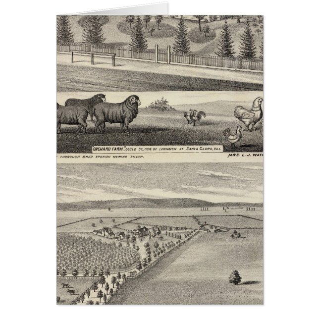 Granja Orchard, Somerville Lodge (Frente)