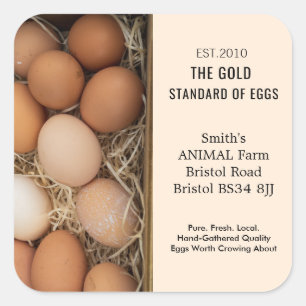 Granja rústica, etiquetas de huevo fresco, pollo p