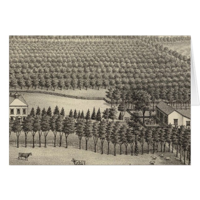 Granja sin encanto, Nebraska (Anverso (Horizontal))