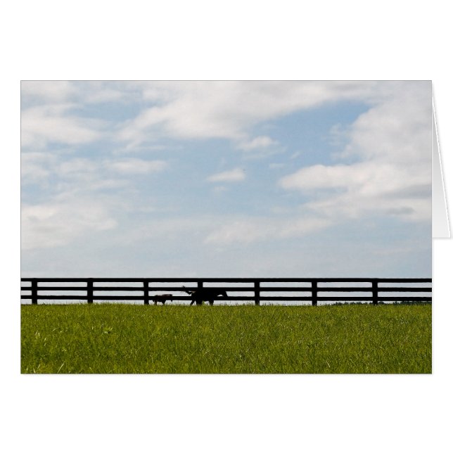 Granja Stallion (Anverso (Horizontal))