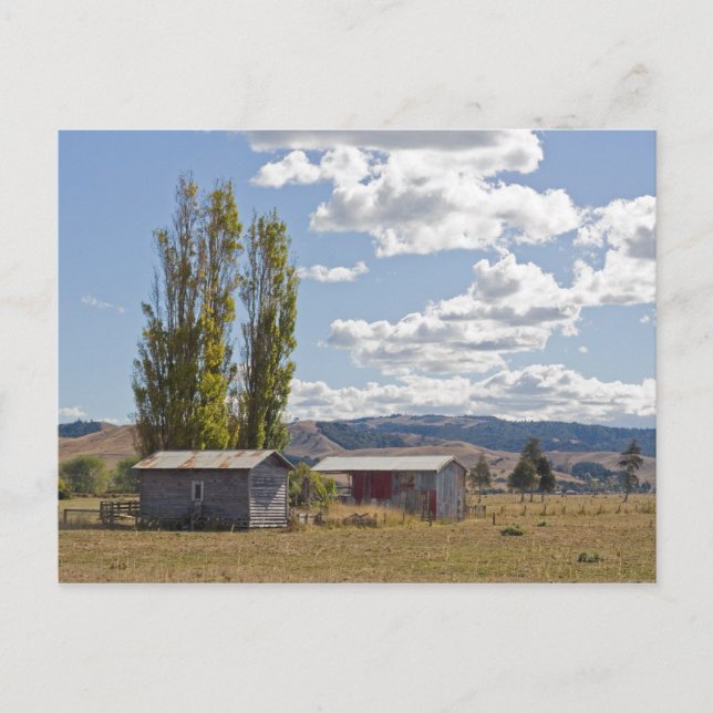 Granjas en postal de Nueva Zelanda (Anverso)