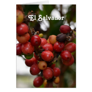 Granos de café de El Salvador