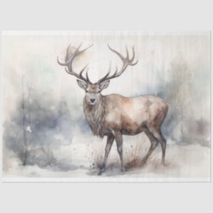 Grapar en papel de niebla 1