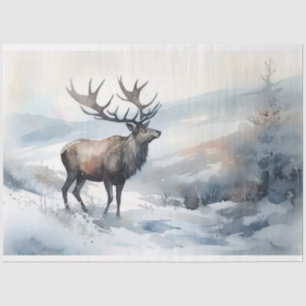 Grapar en papel de niebla 2