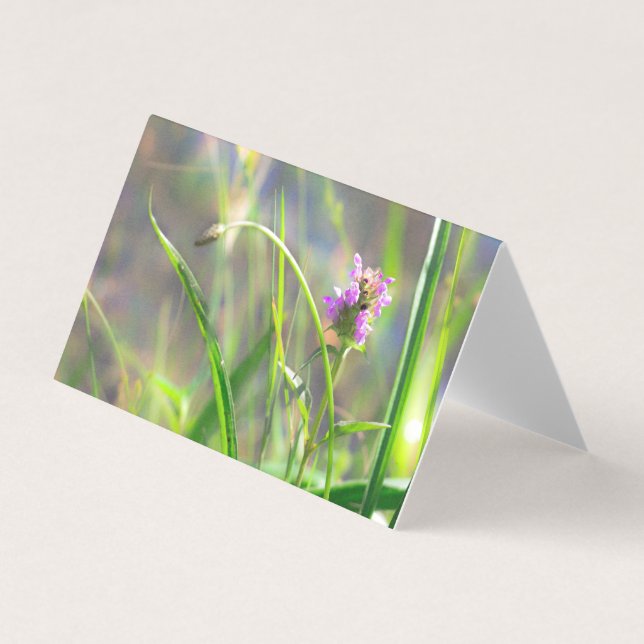 Grasa de campo silvestre - Tarjeta plegada con flo (Anverso)