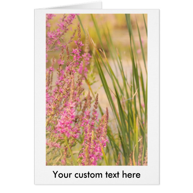 Grasas y flores de verano (Frente)