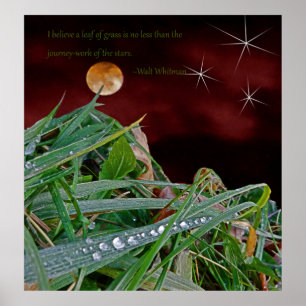 "Grass", Poster de arte con cita de Walt Whitman