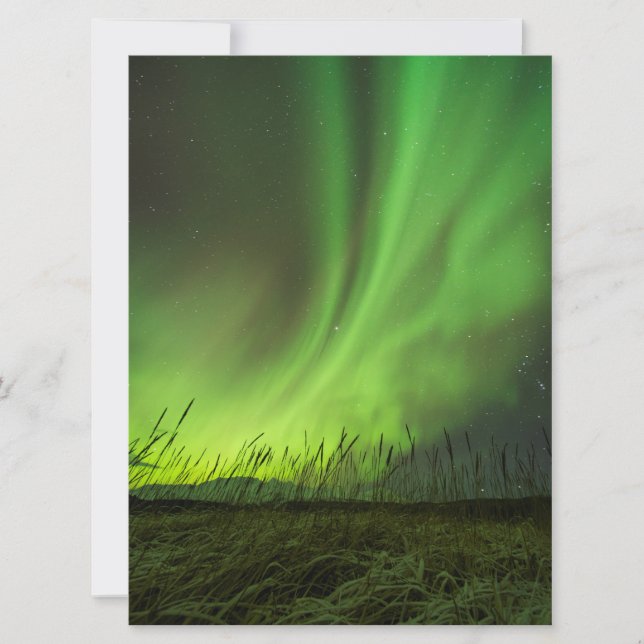 Grasslands Aurora (Anverso)
