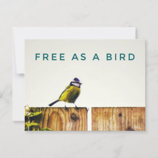 Gratis como postal de pájaro