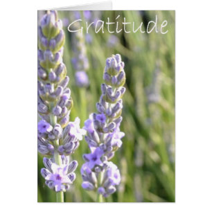Gratitud