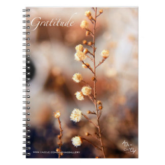 GRATITUD - CUADERNOS