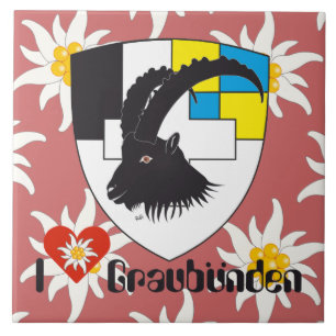 Graubünden Grischun Grigioni baldosa