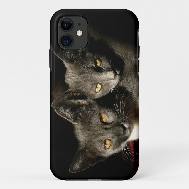 Gray Cats Photo iPhone SE + Funda para iPhone 5/5S (Reverso)