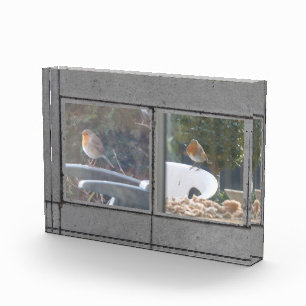 Gray Garden Tiles Image Block para dos fotos