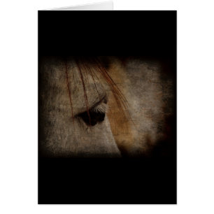 Gray Horse Face Grunge