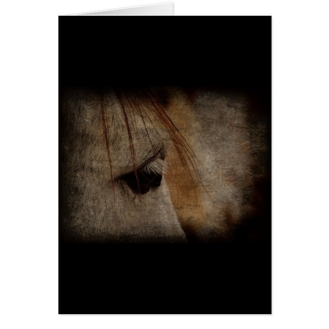 Gray Horse Face Grunge (Frente)