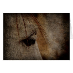 Gray Horse Face Grunge