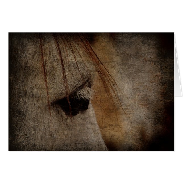 Gray Horse Face Grunge (Anverso (Horizontal))