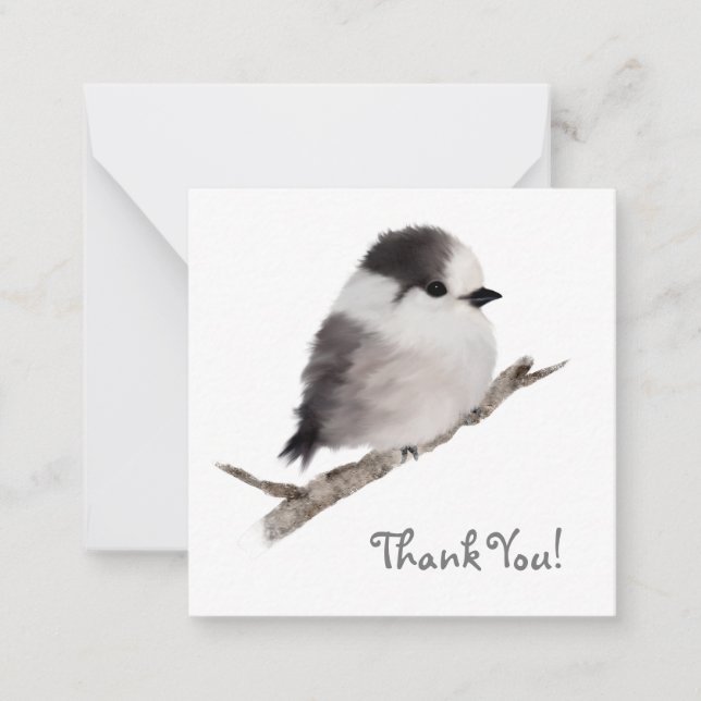 Gray Jay Bird Gracias Tarjeta de Nota (Anverso)