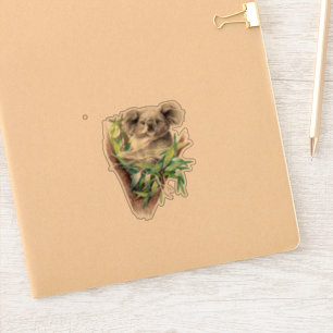 Gray lindo Koala pegatina