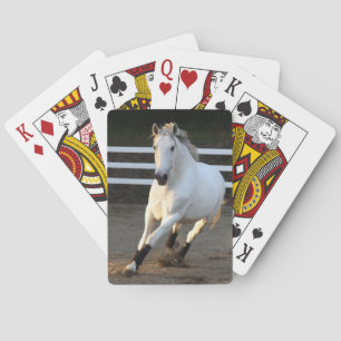 Gray Lusitano en las cartas de la libertad